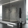 165663_Rainshower_EnvironmentCloseUp_26845A00_29138A00_26570A00_0001_Jul2023_CDNjpg // Hard Graphite (Polished Black) //
