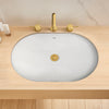 247878_1723106785-Sink_1A_GN0_EnvironmentCloseup_0002_August2024_original //  Brushed Cool Sunrise (Brushed Gold) //