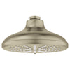 Rainshower Shower Head, 6-1/2